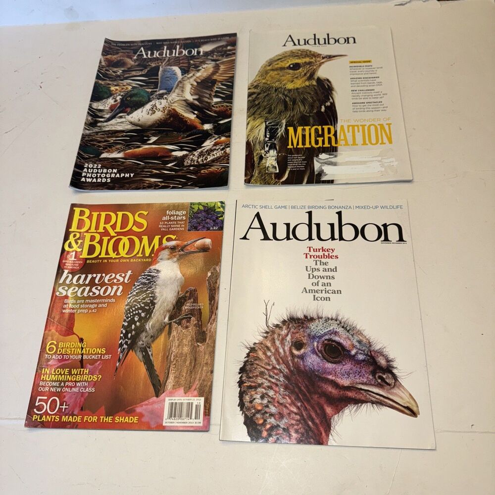 Magazine Audubon Birds Blooms 2013 Oct Nov Dec 2013 Summer 2022 Spring Lot